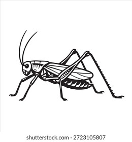 Um belo vetor de silhueta de inseto katydid