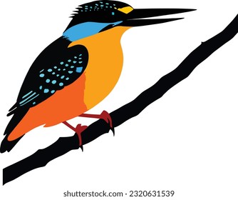 Beautiful Kingfisher Vector Art Icons.