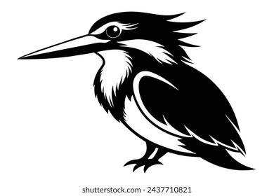 Beautiful kingfisher vector illustration artwork