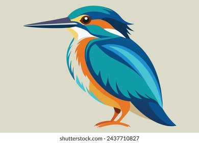 Beautiful kingfisher vector illustration artwork