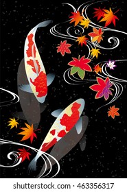 Beautiful Koi with autumn leaves