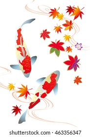 Beautiful Koi with autumn leaves