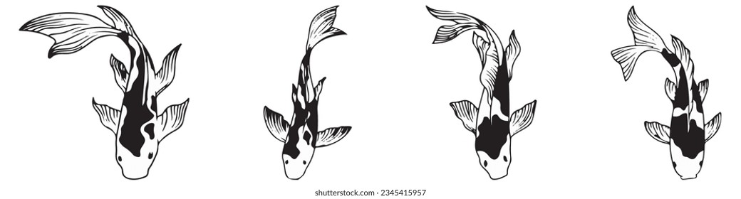 Beautiful koi carp fish illustration in monochrome. Symbol of love, friendship and prosperity.EPS 10