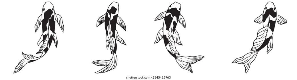 Beautiful koi carp fish illustration in monochrome. Symbol of love, friendship and prosperity.EPS 10