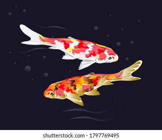 Beautiful koi fish in the pond, decoration and illustration of the two fish, vector 