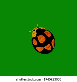 beautiful koksi beetle background full of color
