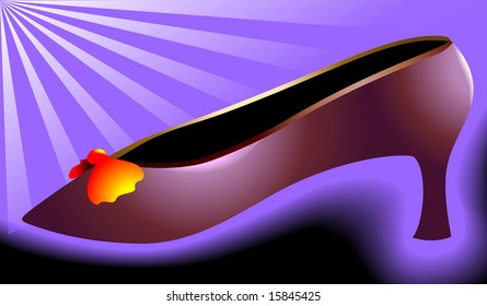 beautiful lady footwear	
