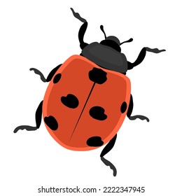 Hermosa mariquita. insecto escarabajo. Plaga de jardín. Ilustración vectorial de dibujos animados aislada en fondo blanco