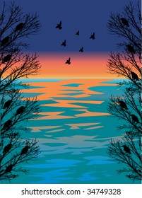 Beautiful Landscape