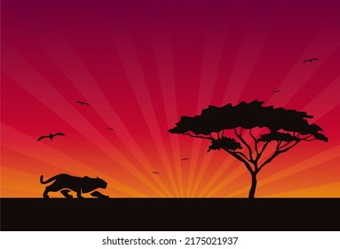 a beautiful landscape of a africa safari, the silhouette is a jaguar, leopard, cheetah at sunset. vector illustration