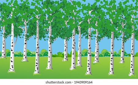Beautiful landscape with a birch forest in the summer season. Vector illustration.