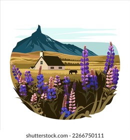 Beautiful landscape of blooming lupine flowers Iceland. Vector illustration.