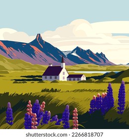 Beautiful landscape of blooming lupine flowers Iceland. Vector illustration.