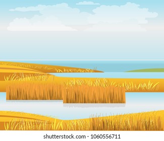 Beautiful landscape with bulrush and lakes on the seashore. Vector illustration