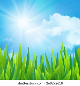 Beautiful landscape with grass and clouds, vector illustration