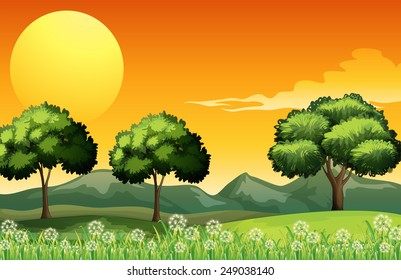 A beautiful landscape with green plants