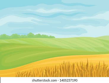 Beautiful landscape of green and yellow fields. Vector illustration on white background.