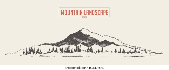 Beautiful landscape with mountain and spruce forest. Hand drawn vector illustration, sketch