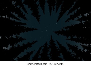 beautiful landscape night sky in the forest