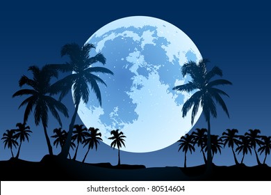 beautiful landscape (palm trees in the moonlight)