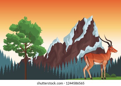 Beautiful landscape scenery