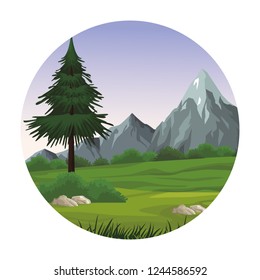 Beautiful landscape scenery
