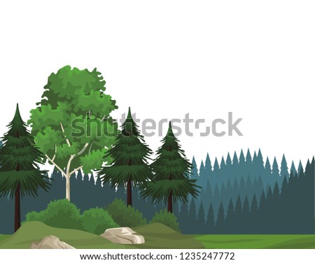 Beautiful landscape scenery