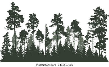 Hermoso paisaje, silueta de coníferas, bosque. Ilustración de vector