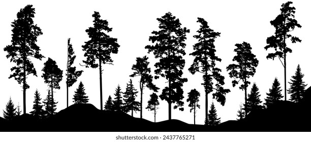 Hermoso paisaje, silueta de bosque. Pinos altos y abetos. Bosque horizontal. Ilustración de vector