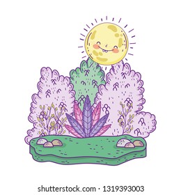 beautiful landscape with sun and bush scene