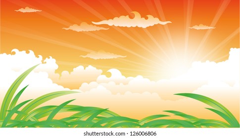 beautiful landscape with sunset and grass