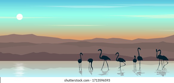 Beautiful landscape with sunset.Vector illustration of seascape with flamingos.