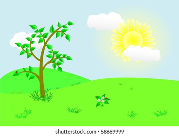 Beautiful landscape with the tree and sun. Vector illustration.