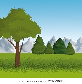 Beautiful landscape view