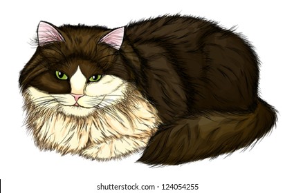 beautiful, large and fluffy cat. Painted in a realistic style that imitates watercolor