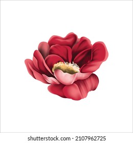 beautiful latest digital textile design flowers for printing