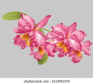 beautiful latest digital textile design flowers and leaves for printing