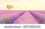 Beautiful Lavender field with cloudy sky, France, Europe Lavender field - Valensole, France