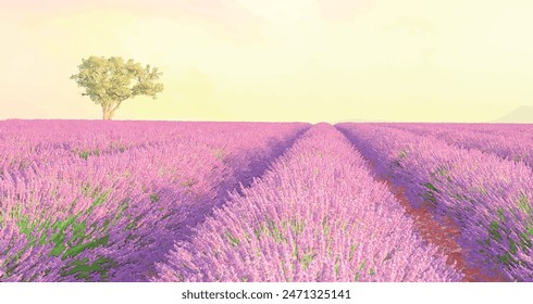 Beautiful Lavender field with cloudy sky, France, Europe Lavender field - Valensole, France