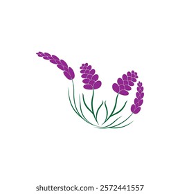 Beautiful lavender flower icon vector illustration