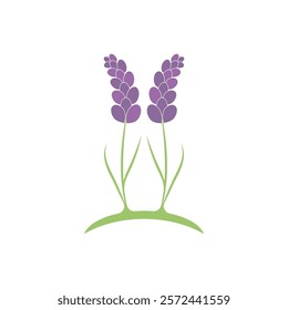 Beautiful lavender flower icon vector illustration