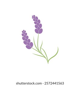 Beautiful lavender flower icon vector illustration
