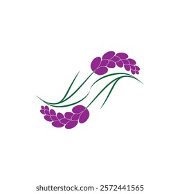 Beautiful lavender flower icon vector illustration