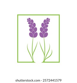 Beautiful lavender flower icon vector illustration