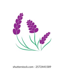 Beautiful lavender flower icon vector illustration