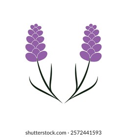 Beautiful lavender flower icon vector illustration