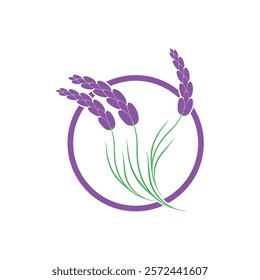 Beautiful lavender flower icon vector illustration