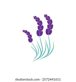 Beautiful lavender flower icon vector illustration