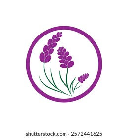 Beautiful lavender flower icon vector illustration