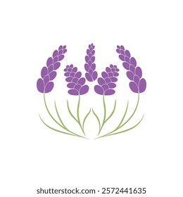 Beautiful lavender flower icon vector illustration